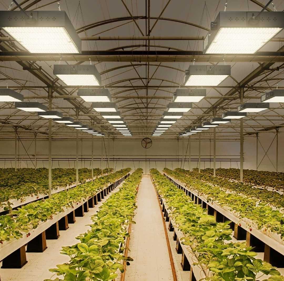 2000 W LED лампа подходяща за всеки етап от растежа на растенията