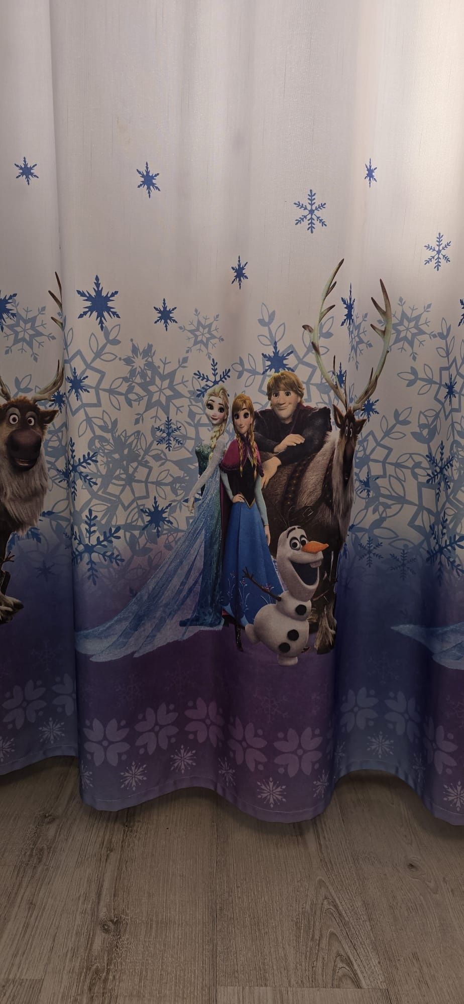 Draperii Frozen Copii