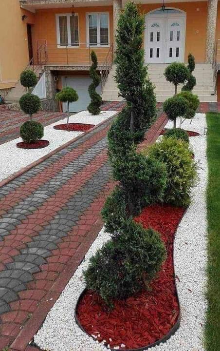 Plante ornamentale.tuia,forme,specialitati.gazon.piatra