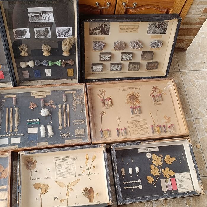 Учебни модели по Биология и география в дървена рамка със стъкло