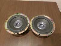 Високоговорители Panasonic/Technics T14PL01A6