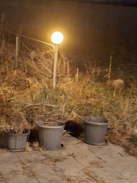 Продам уличные плафоны