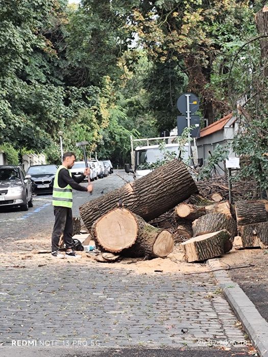 Servicii profesionale de curățenie generală apartament garsoniera