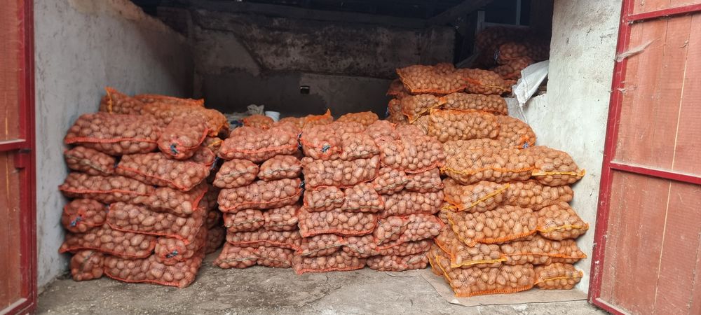 Cartofi albi de consum