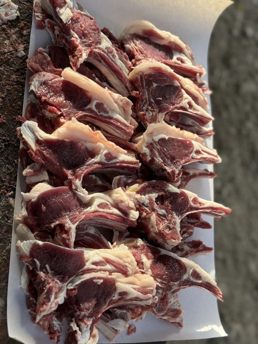 Qoʻchqorlar sotiladi qoʻy qoylar