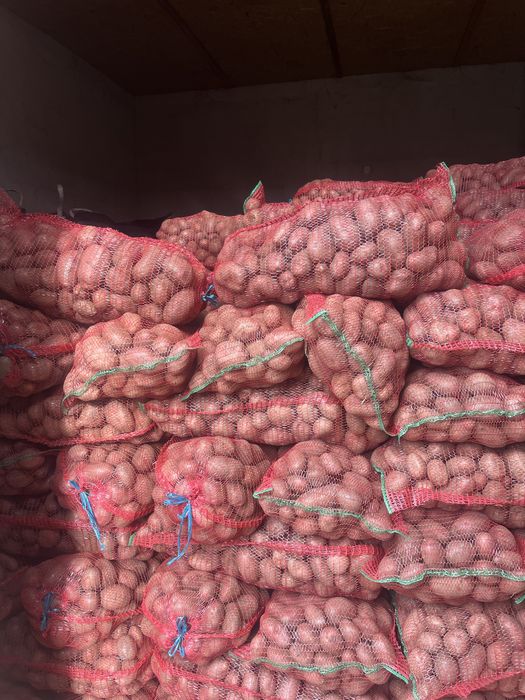 Cartofi de consum Red Fantasy