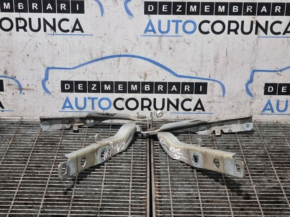 Balamale Capota Citroen C4 Cactus 2014 - 2017 GRI (1203)