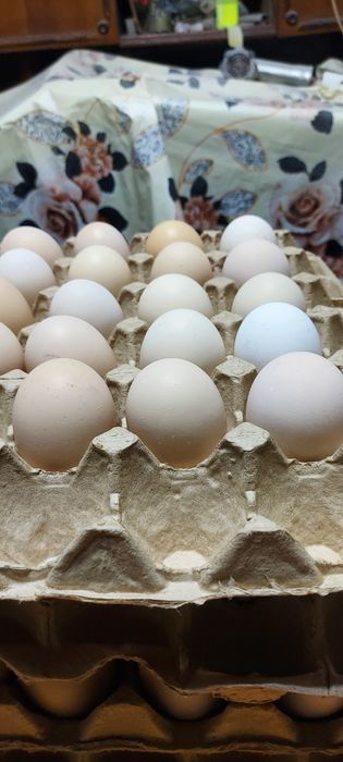 Продам  яйцо  домашнее 70 тнг штука