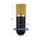 Microfon Golden Studio premium FX