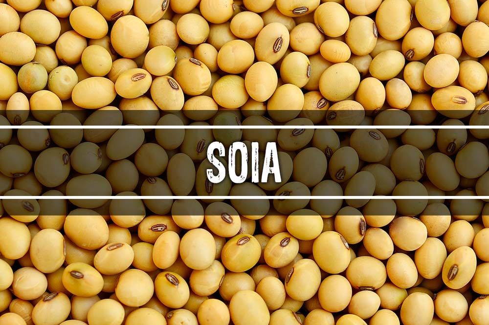 Soia ! pret negociabil !