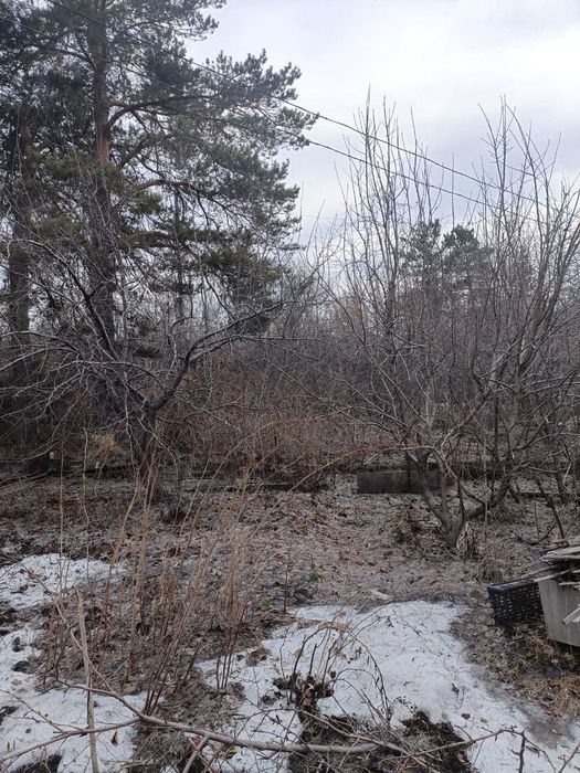 Продам дачу в обществе Мичуринец