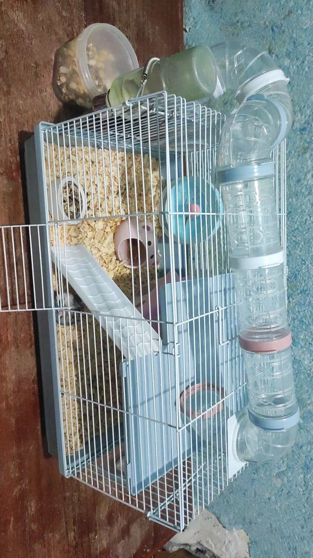 Большая клетка с хомяком