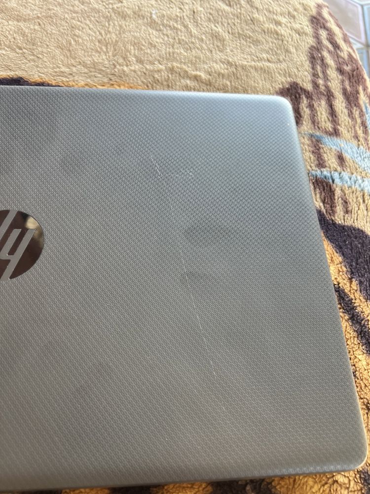 Ноутбук HP 255 G7