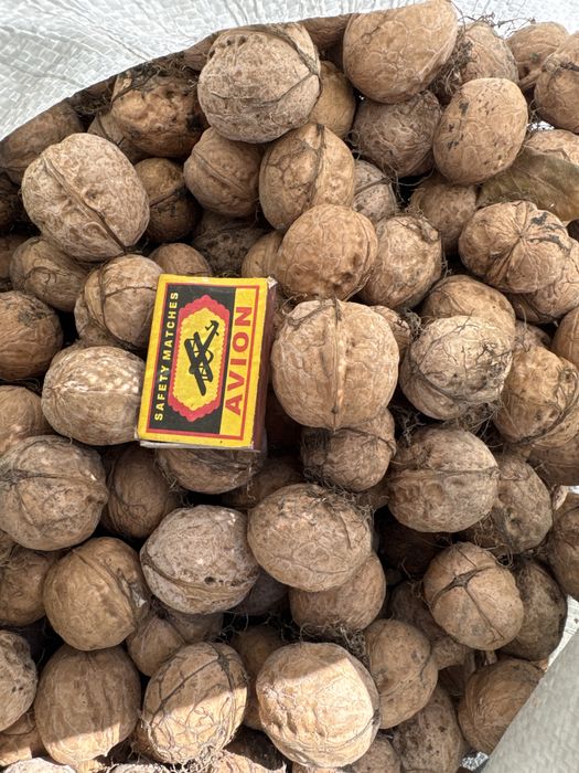 Жаңғақ, орех, отборный, ірі