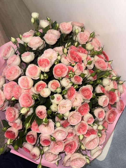 Продаю цветы розовые