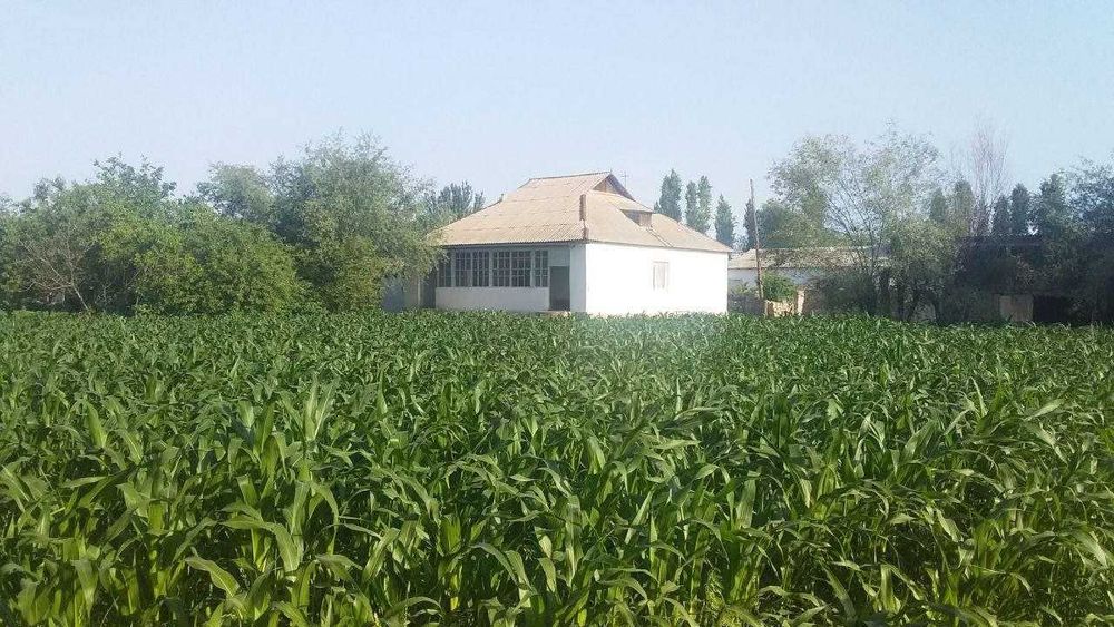 Срочна уй сотилади