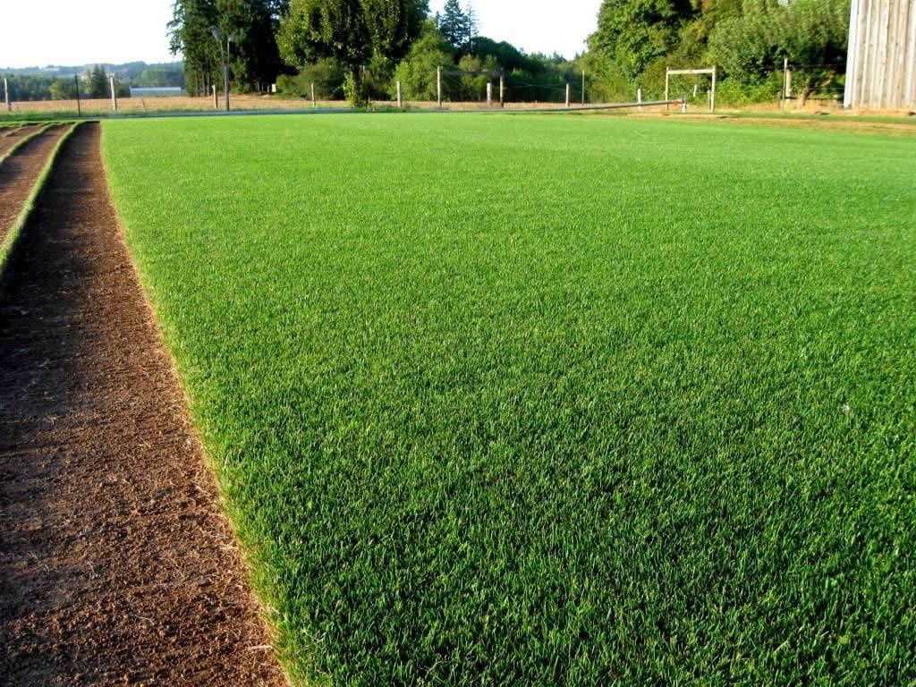 Трава, искусственный газон 15 мм
