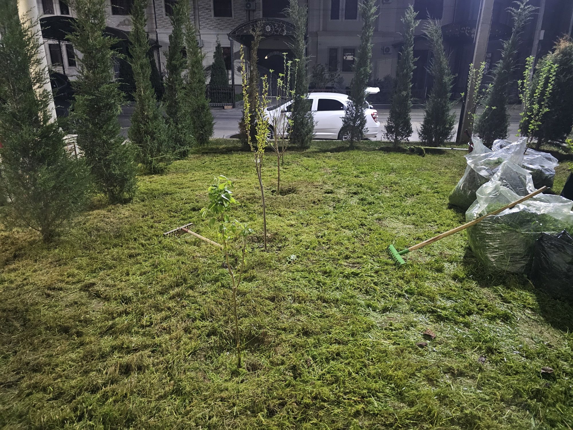 Покос травы триммером, уборка травы