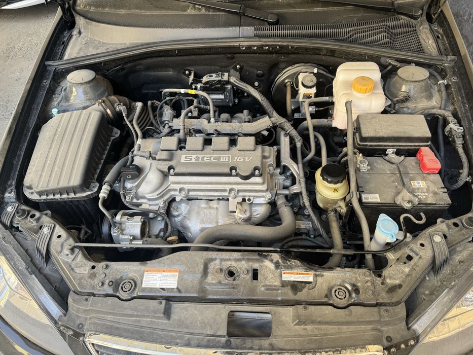 Jentra elegant bez probek