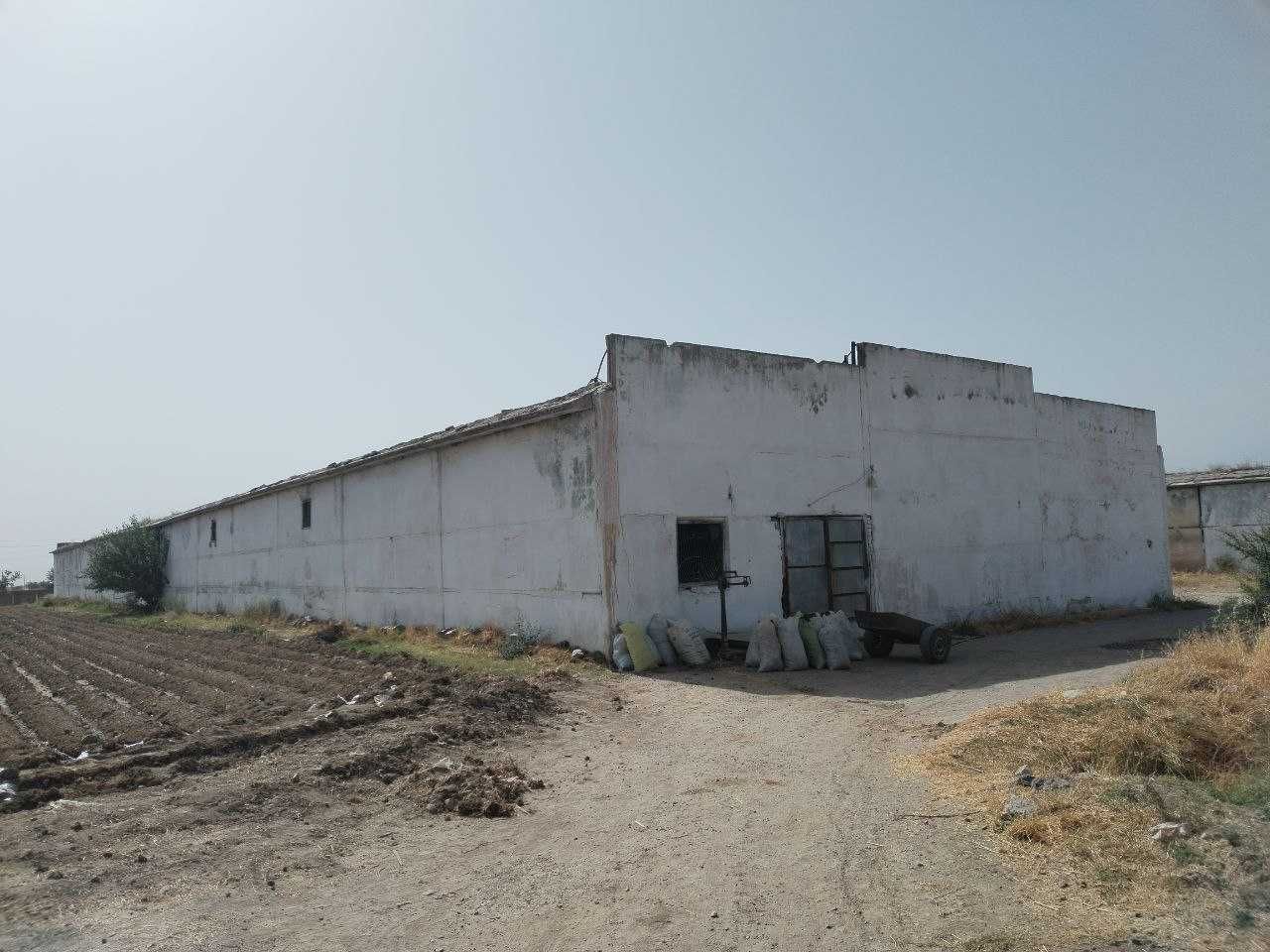 Sariosiyoda omborxona binosi bolib tolash sharti asosida sotiladi
