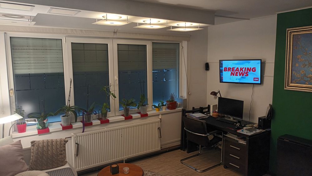 Ion Mihalache Particular