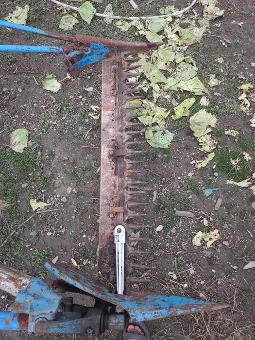 Cositoare pe benzina BGS.