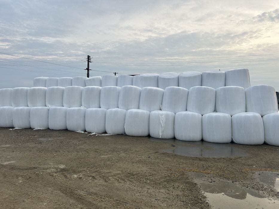 vand baloti de siloz de porumb