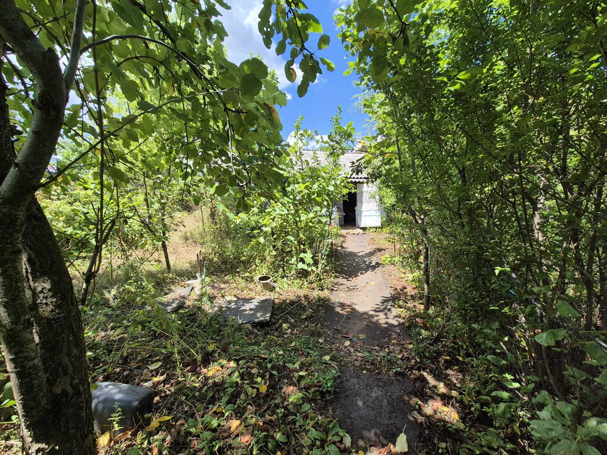 Casă 2 camere + anexă, grădină și teren