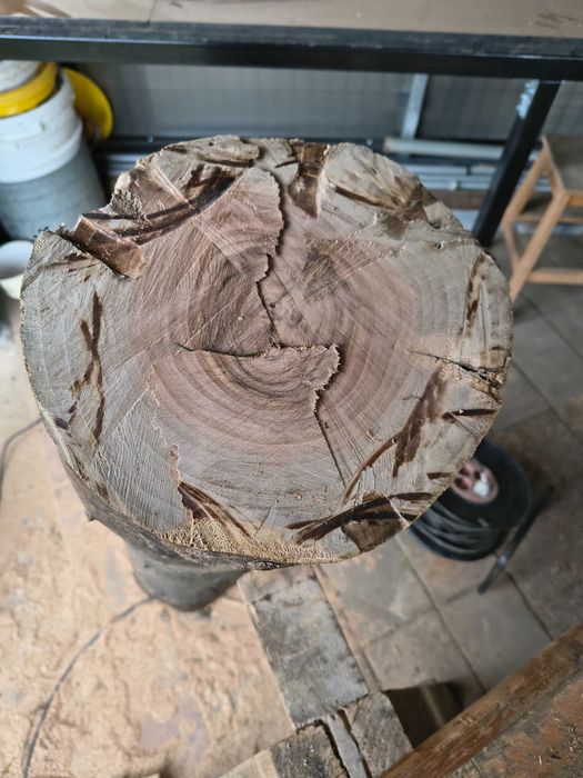 Trunchi de nuc uscat