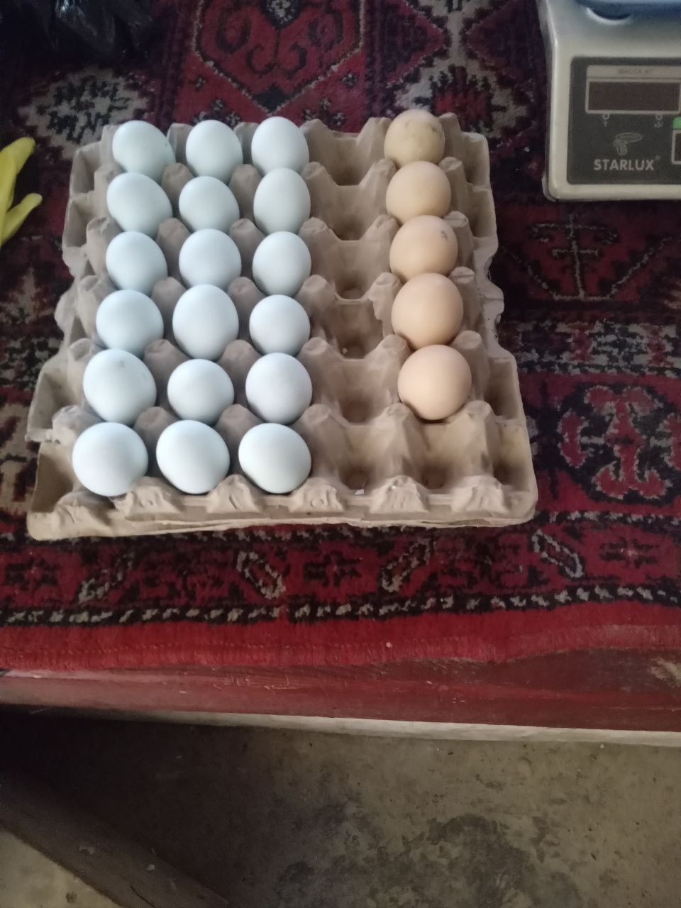 Ayamsiman zoti toza