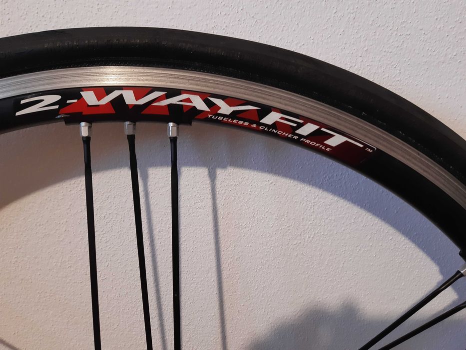 Roti cursiera Campagnolo Eurus 2 way fit