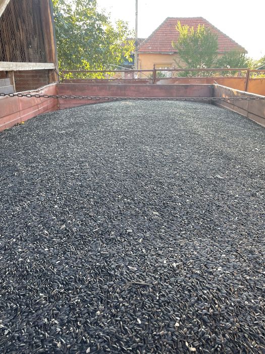 Vand ceriale productia 2025