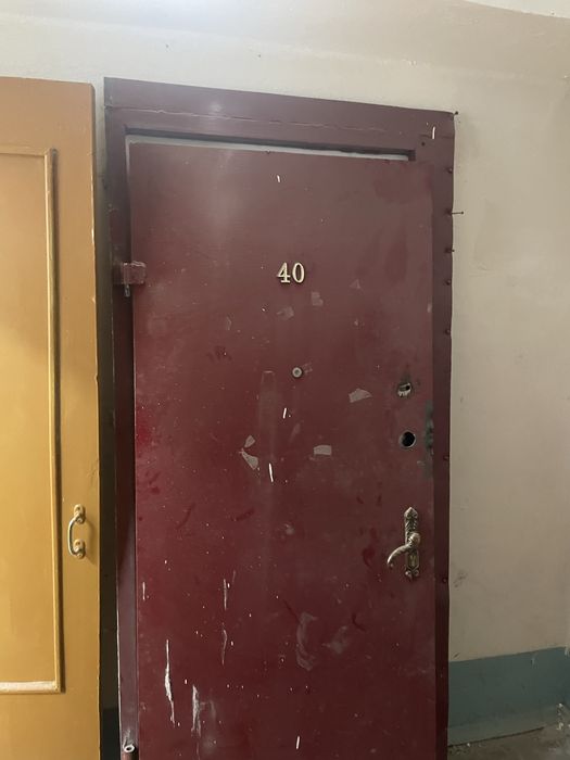 Дверь железный входной