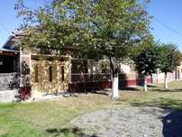 Vând casa cu grădină sat Buhani, jud Arad, 1080mp