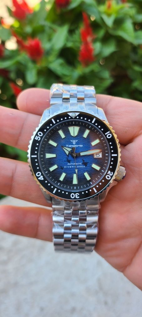 Tandorio Watch brend Automatic Japan NH35A seiko mexanizm. Safffer stk