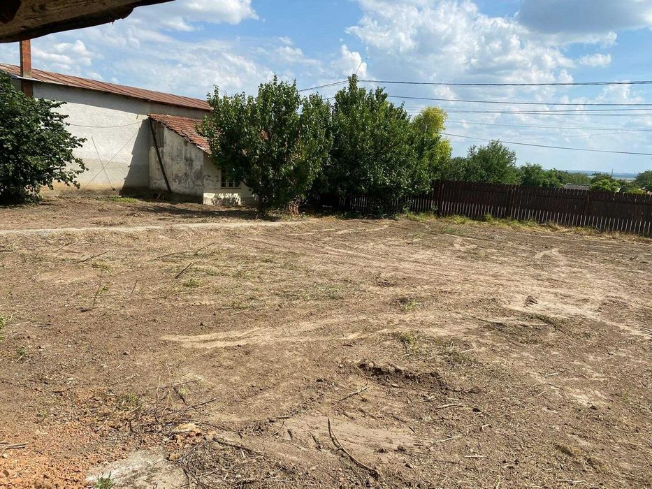 Hala cu Moara de Faina