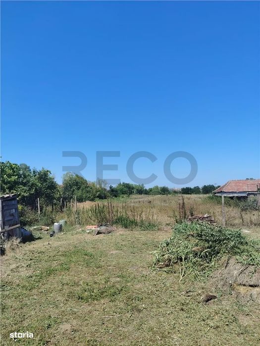 RECO Teren intravilan in Paleu la doar  22euromp