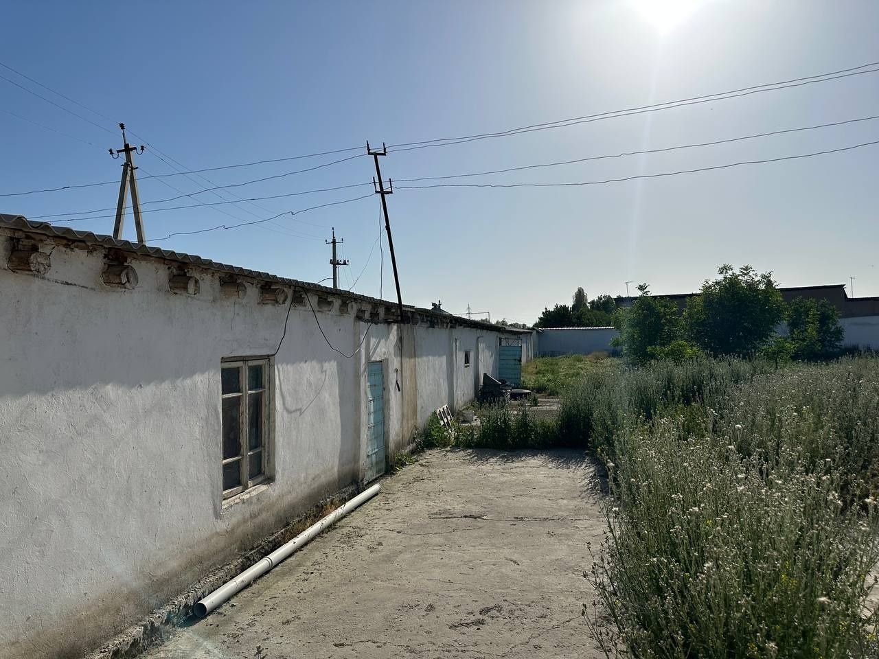 ЗАНГИОТА Ором кафе рупарасида Green house домларидан кирганда