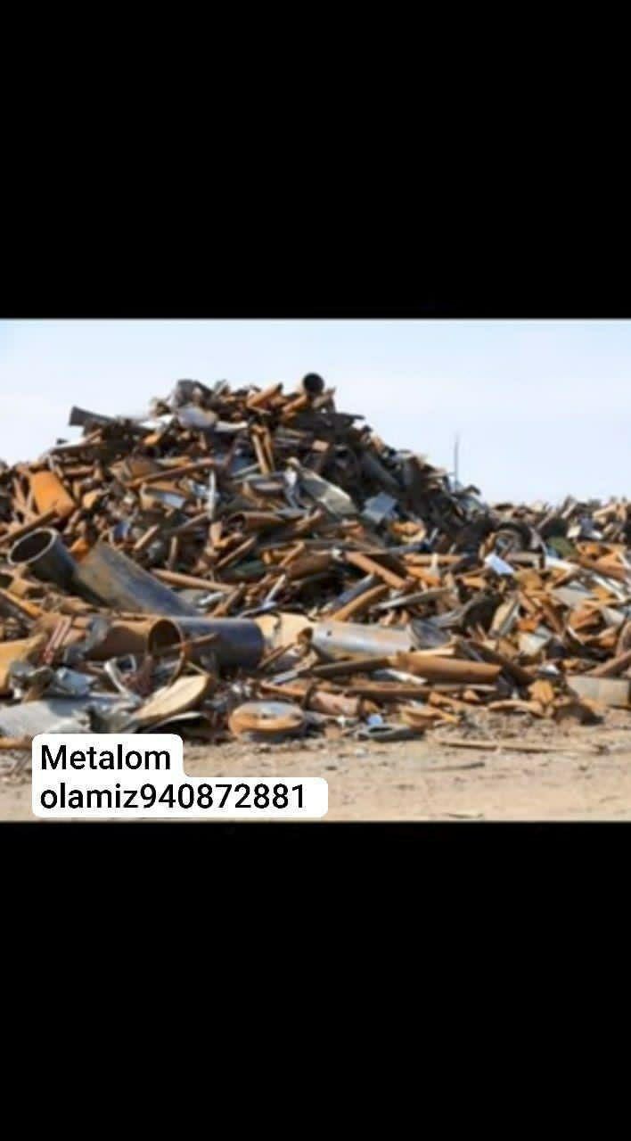 Mitalom olamizyig
