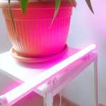 Tub LED amaran PT2c
