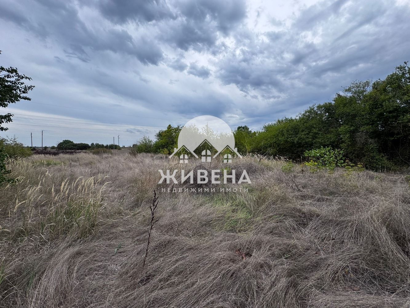 Парцел в с.Царичино, обл. Добрич, площ 1265 кв.м