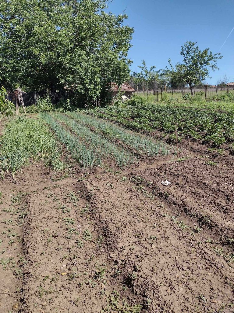 Продава се Къща в Велико Търново, Бузлуджа - 80 кв.м за 125 €/кв.м - Снимка #4