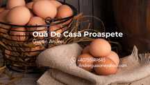 Oua de casa proaspete
