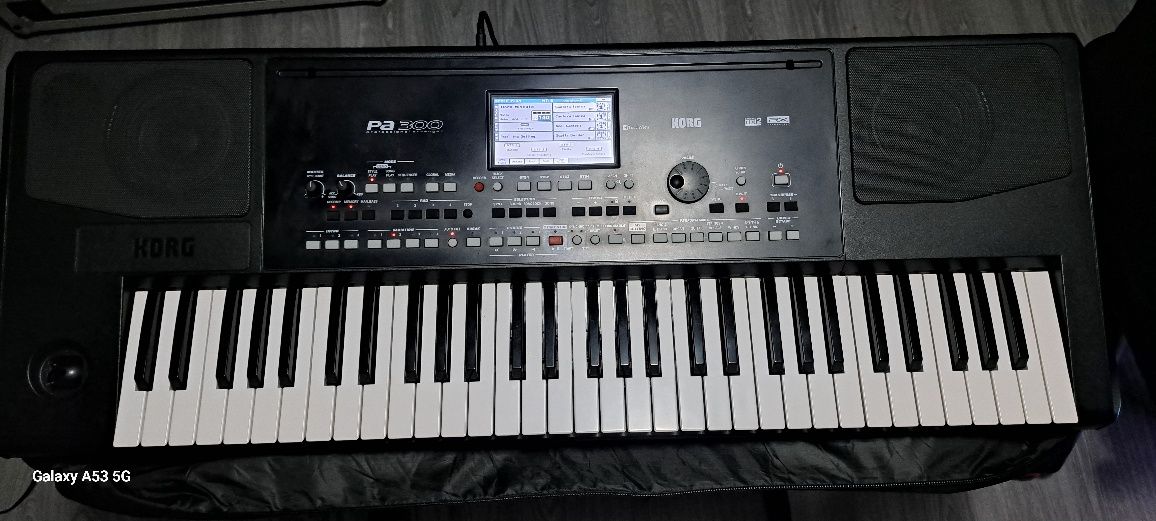 Orga korg pa 300