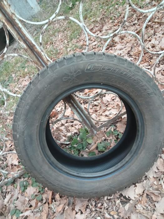 Продам шины зимние