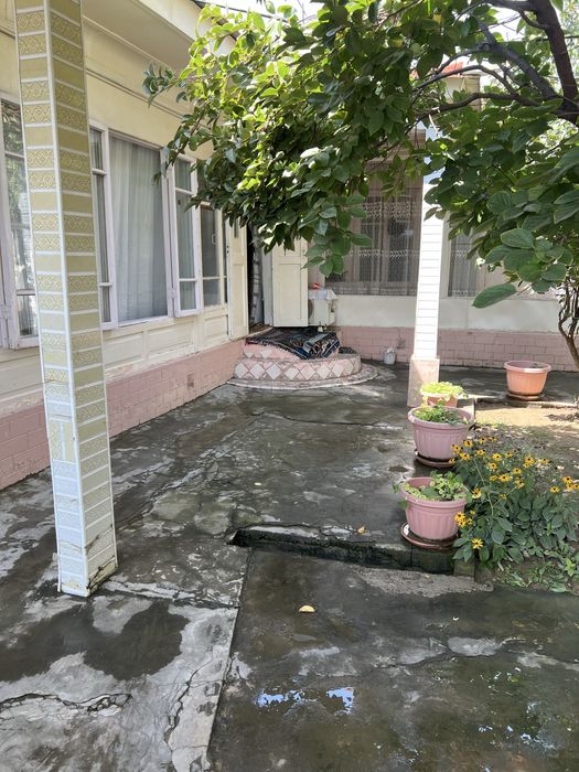 Арча куча. Оптовый. Дукон орт