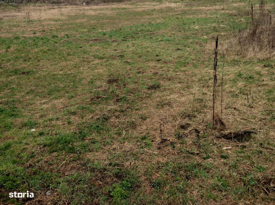 Teren intravilan, 350 ,mp toate utilitatile,cu proiect,Sângeorgiu