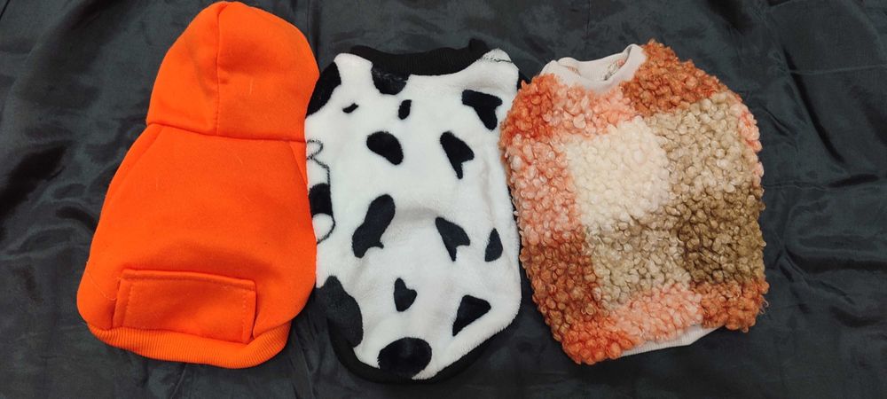 Одежда для маленьких собачек