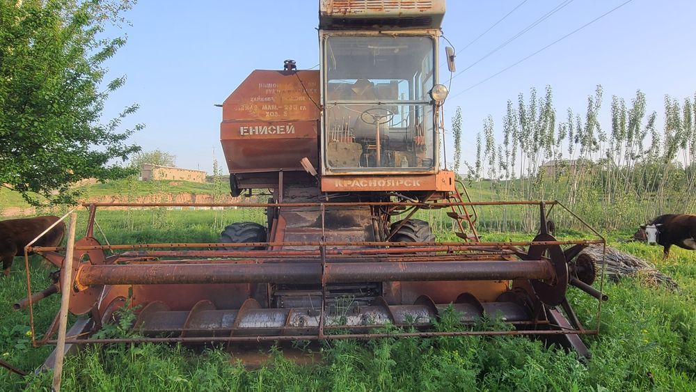 Kabayin yinisiy 41 matorli