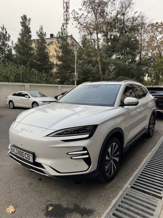 Byd Champion 605km
